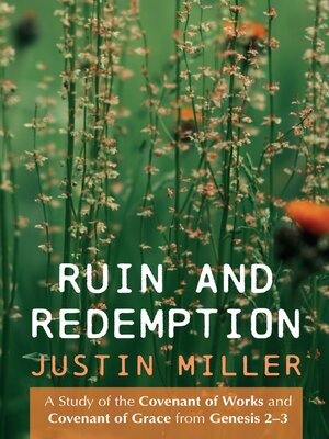 cover image of Ruin and Redemption